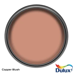 Dulux Easycare Kitchen Copper Blush Matt Wall Paint, 2.5L 12 Dulux Easycare Kitchen Copper Blush Matt Wall Paint, 2.5L -Prime Paint Shop dulux easycare kitchen copper blush matt wall paint 2 5l5010212668429 12c bq