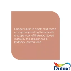 Dulux Easycare Kitchen Copper Blush Matt Wall Paint, 2.5L 14 Dulux Easycare Kitchen Copper Blush Matt Wall Paint, 2.5L -Prime Paint Shop dulux easycare kitchen copper blush matt wall paint 2 5l5010212668429 36c bq