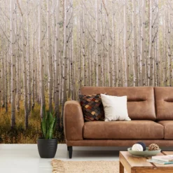 Grandeco Multicolour Birch Tree Matt Mural 11 Grandeco Multicolour Birch Tree Matt Mural -Prime Paint Shop grandeco multicolour birch tree matt mural5411012446871 21i bq