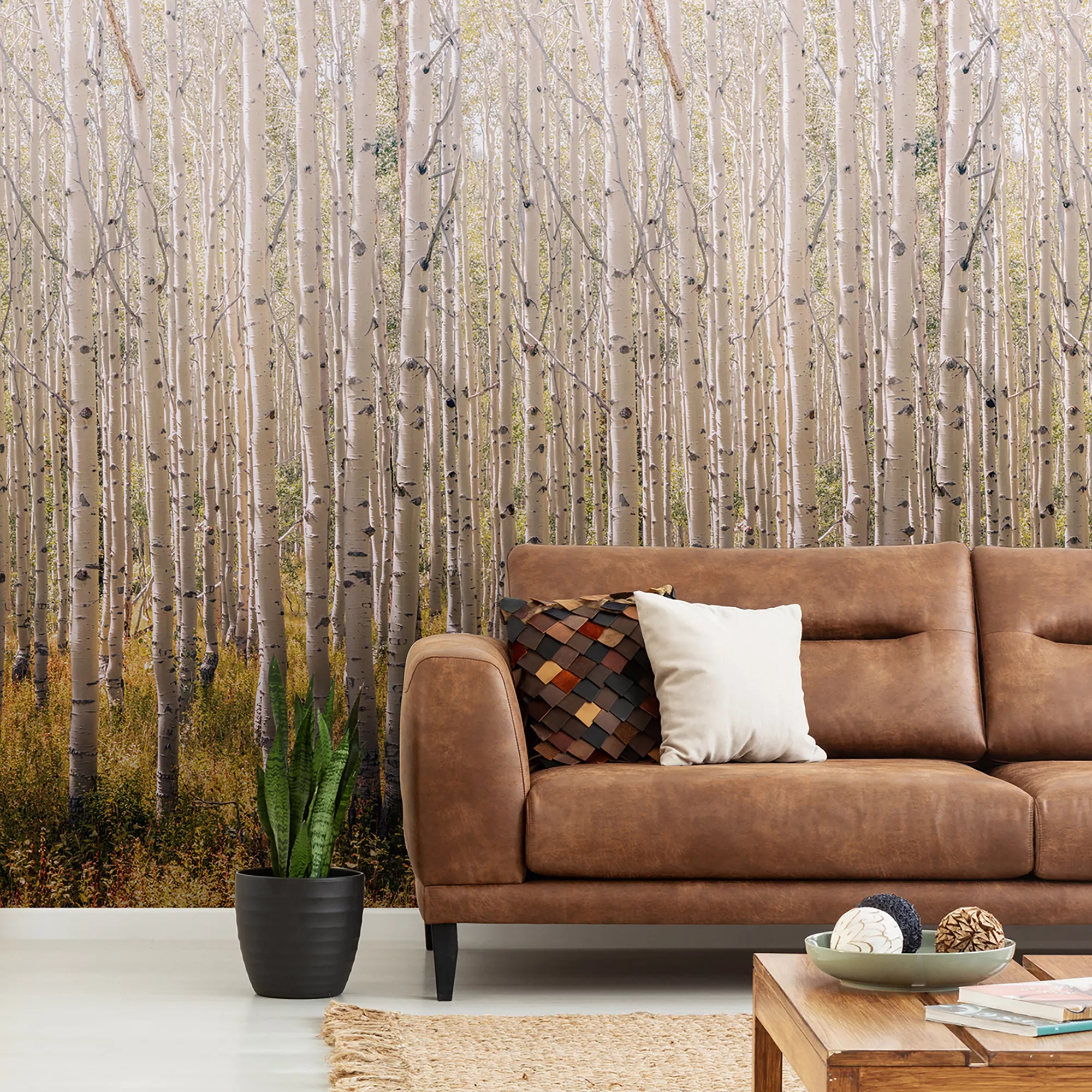 Grandeco Multicolour Birch Tree Matt Mural 7 Grandeco Multicolour Birch Tree Matt Mural - Image 5