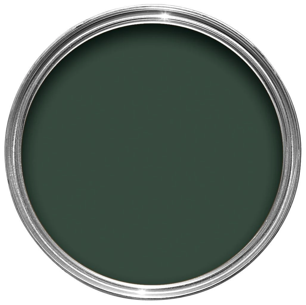 Hammerite Wild Thyme Gloss Exterior Metal Paint, 250ml 5 Hammerite Wild Thyme Gloss Exterior Metal Paint, 250ml - Image 3