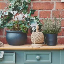 Rust-Oleum Black Sand Matt Furniture Paint, 750ml 9 Rust-Oleum Black Sand Matt Furniture Paint, 750ml -Prime Paint Shop rust oleum black sand matt furniture paint 750ml5013296131506 01i bq